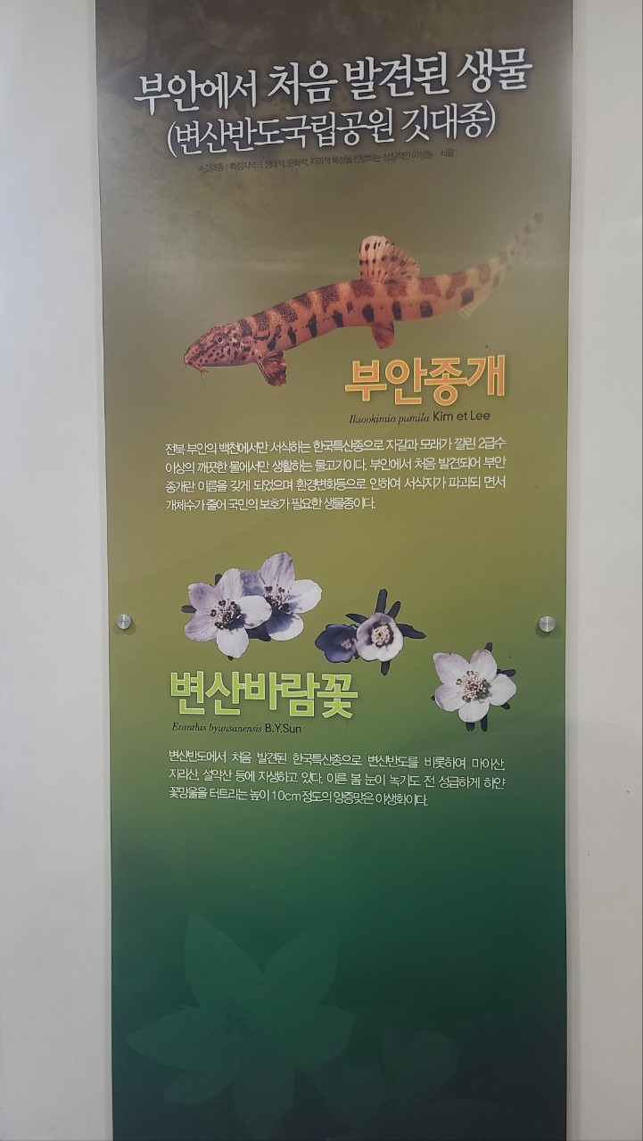 친환경동아리 8월정례모임