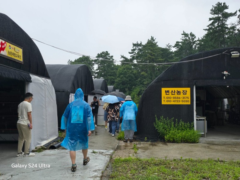 KakaoTalk_20250627_091950721_02 (1).jpg