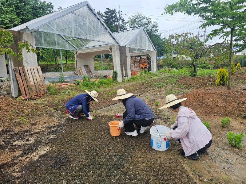KakaoTalk_20260608_105824611_05.jpg