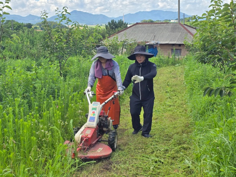 KakaoTalk_20260730_162919173_08.jpg